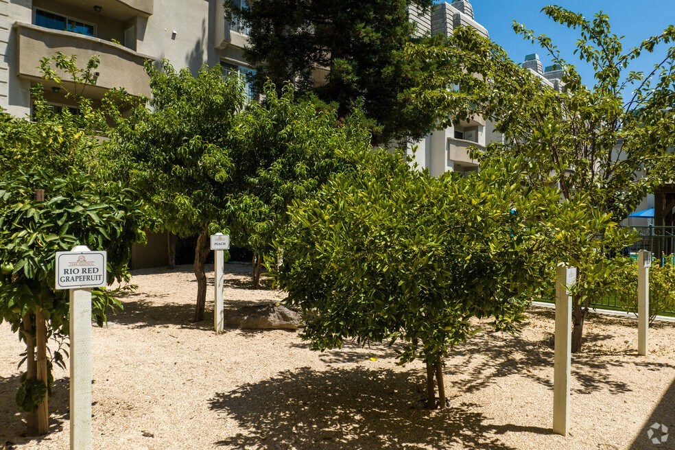 Park Regency Apartments