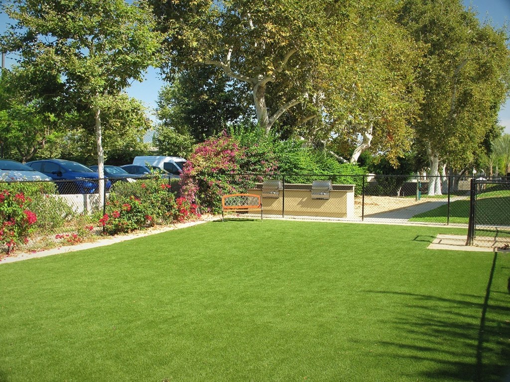 Terrace Apartments, Dog Park