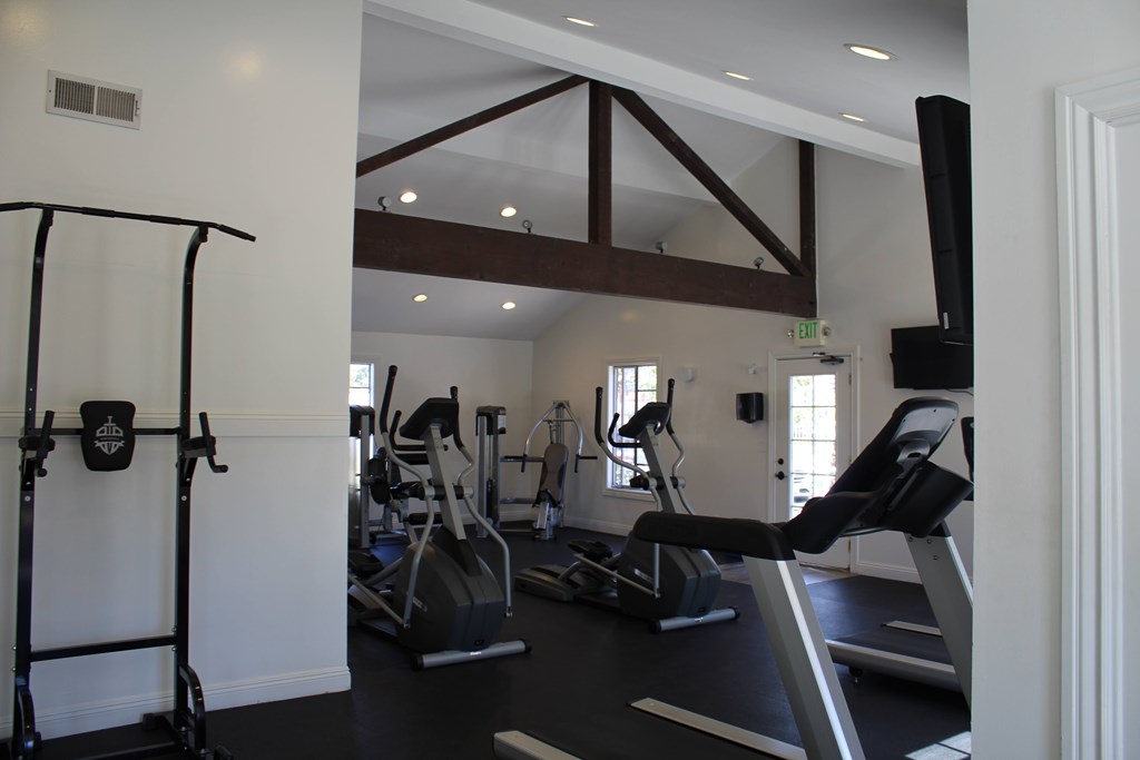 A gym with a variety of equipment including a treadmill, a stationary bike and a rowing machine.