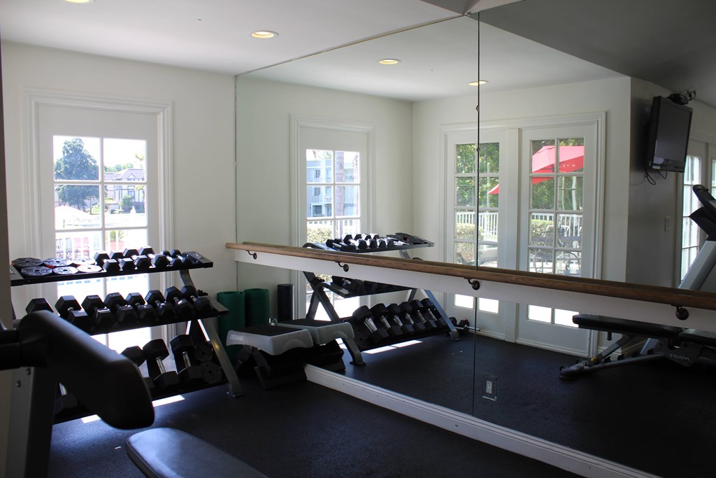 A gym with a row of dumbbells on the left and a row of treadmills on the right.