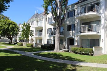 A white apartment building with balconies and a tree in front.