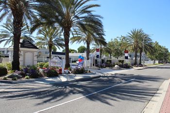 A street view of a residential area with palm trees and a sign that reads "Villas".