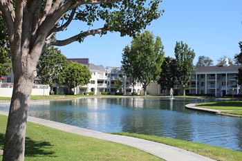 A tree is in the foreground of a residential area with a pond.