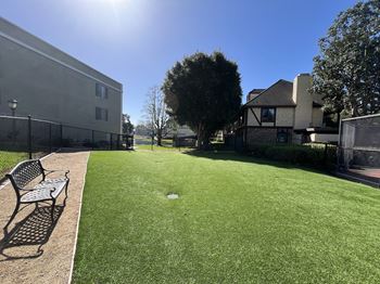 A sunny day at the park with a bench and a green lawn.