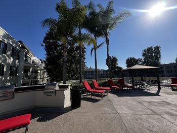 A sunny day at the outdoor seating area with red chairs and palm trees.