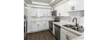 Dresden 1x1 Spacious Kitchen