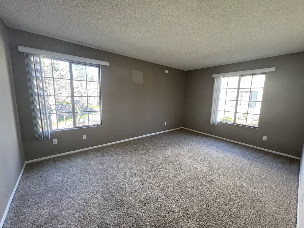 A room with grey carpet and two windows.
