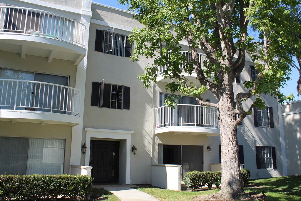 A tree in front of a white building with balconies.