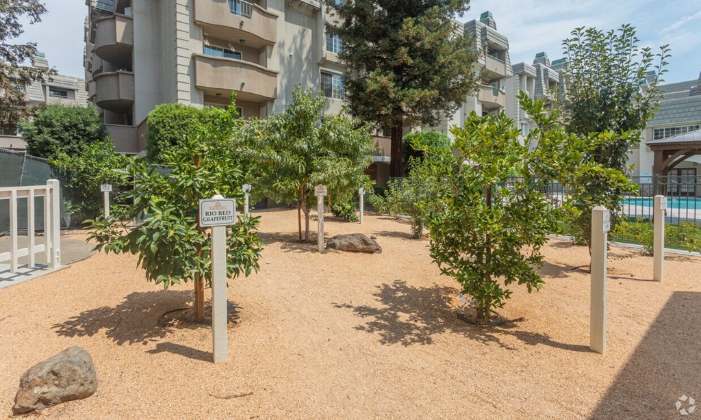 Park Regency Apartments