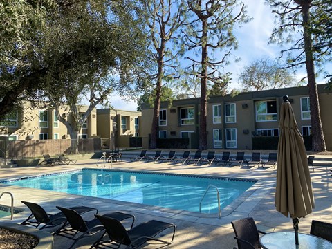 Concord's Pool