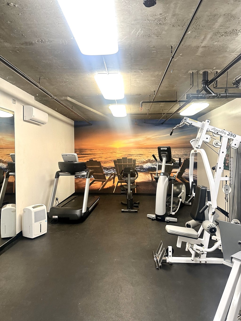 a gym with cardio machines and a wall mural of the beach