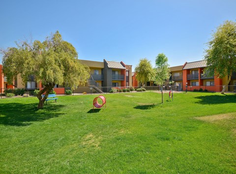 Large, grassy dog park for residents of pet-friendly Onnix Apartments in Tempe, AZ