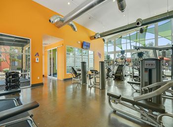 Fully equipped Fitness center, sauna and Yoga studio