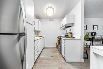 Renovated Kitchen