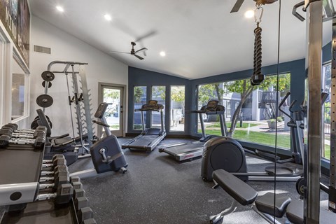 a gym with weights and cardio equipment and windows with a view of the yard