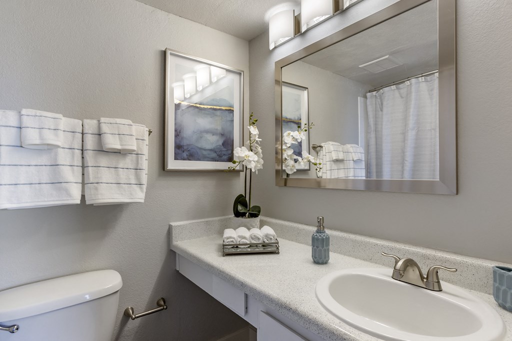 a bathroom with a sink and a mirror and a toilet