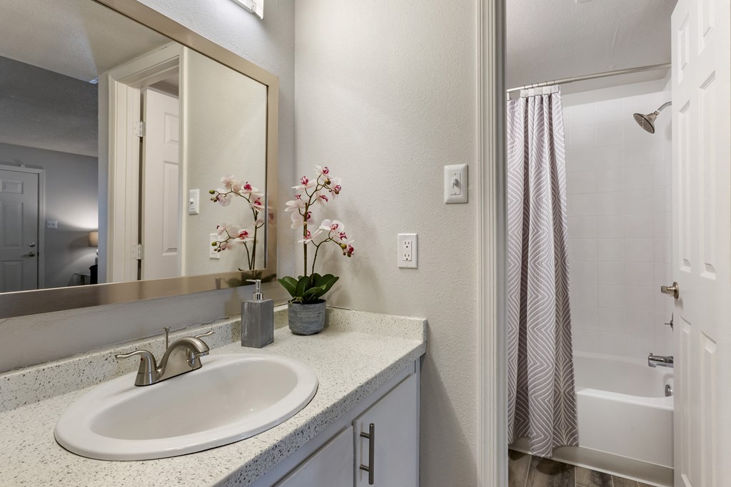 a bathroom with a sink and a mirror and a shower