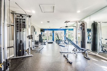 Fitness Center - Photo Gallery 6