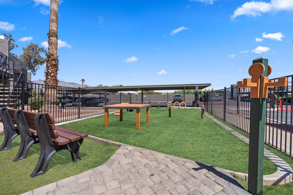 a grassy area with a picnic table and benches