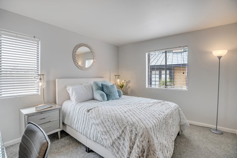 Large carpeted bedroom with two windows and walk-in closet in Tempe, AZ