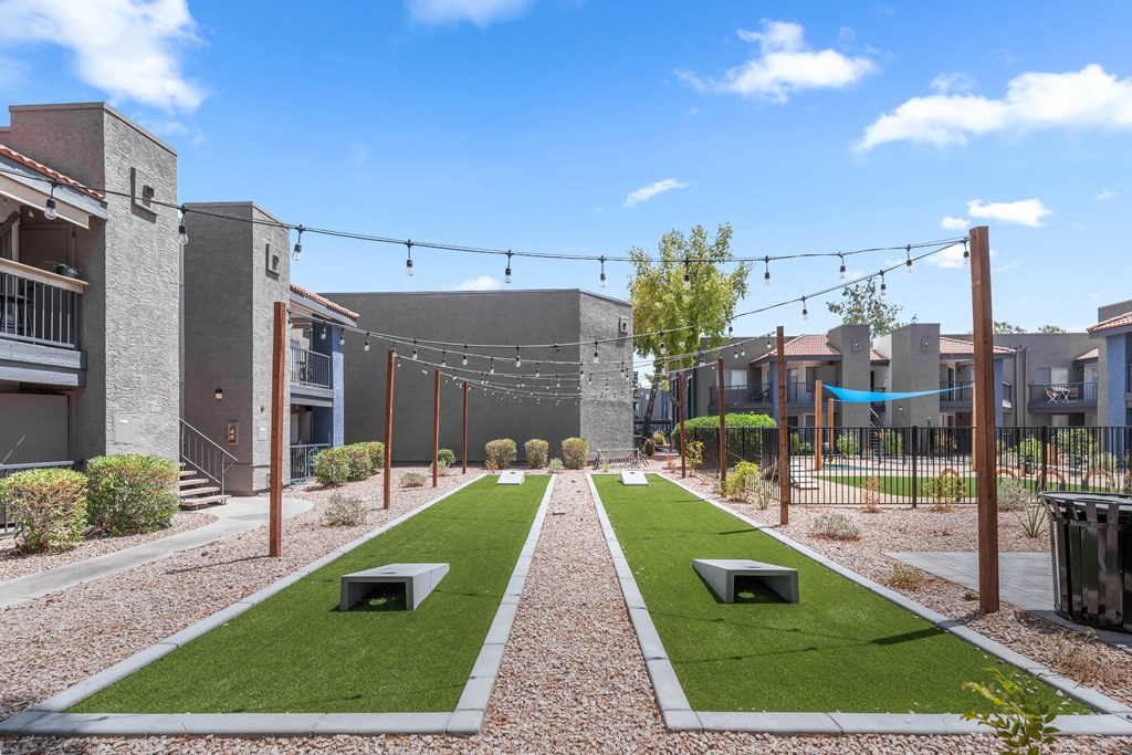 a grassy area with benches and string lights