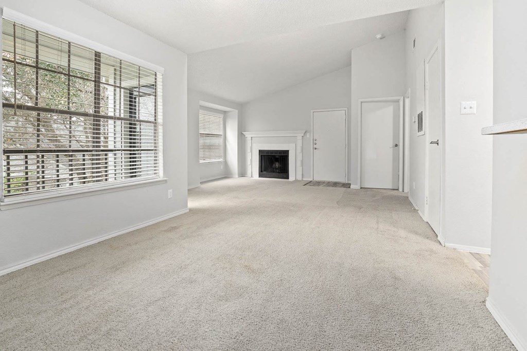 Living Room and Fireplace