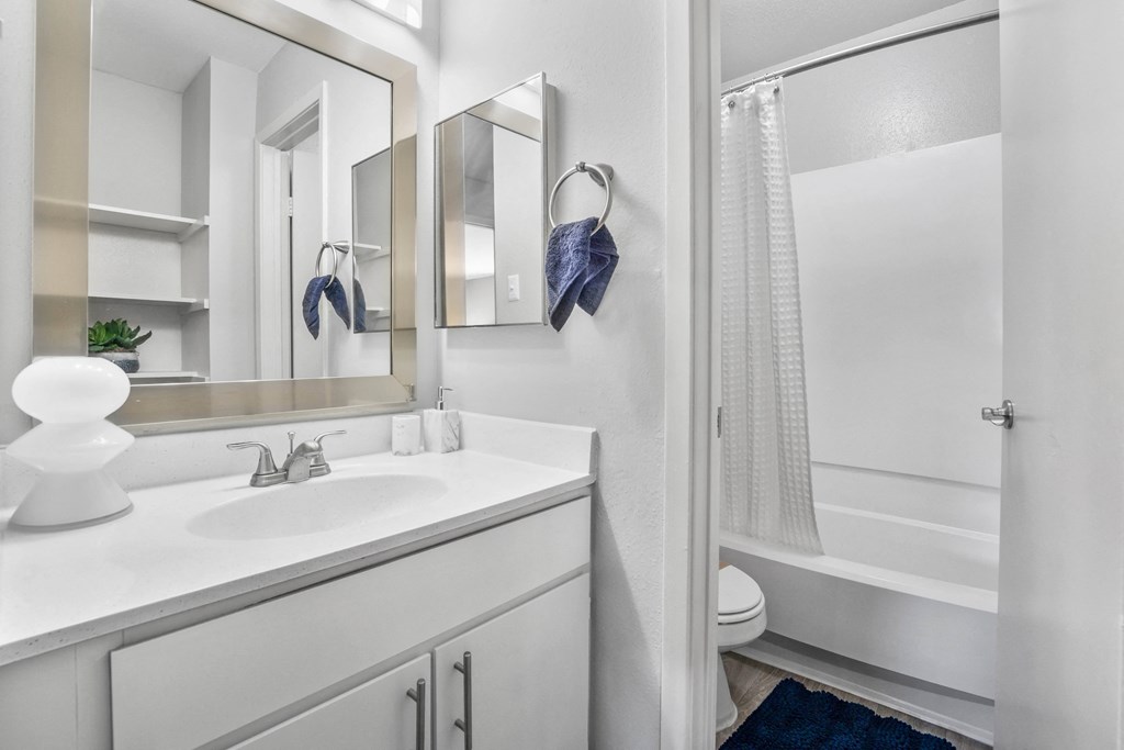 a bathroom with a shower and a sink and a mirror