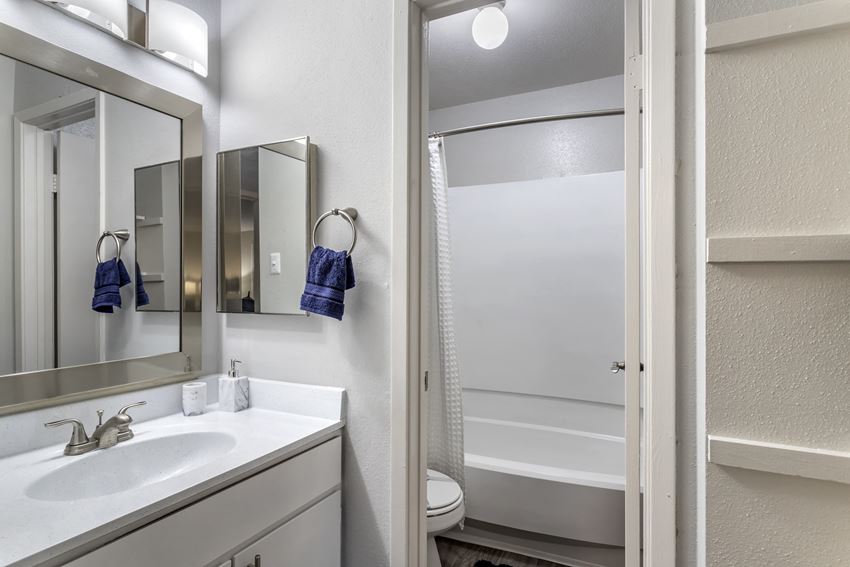 a bathroom with a sink and a mirror and a shower