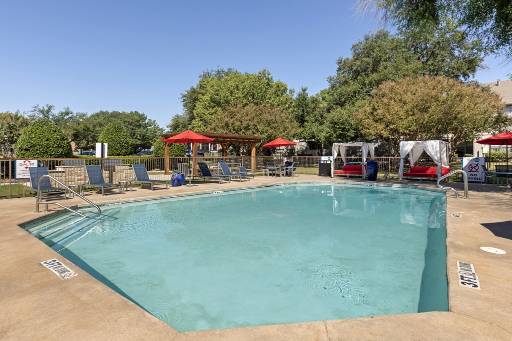 Swimming Pool and Lounge