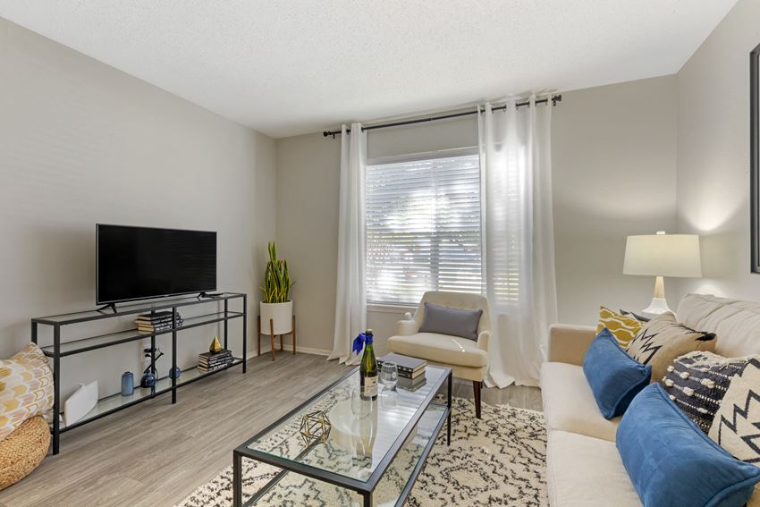 a living room with a couch and a coffee table and a television