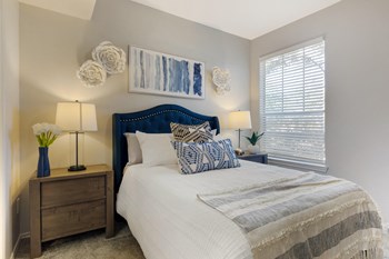 3653 Timberglen Road 1-3 Beds Apartment for Rent - Photo Gallery 6