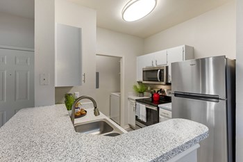 3653 Timberglen Road 1-3 Beds Apartment for Rent - Photo Gallery 3