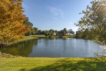 Las Colinas Heights Apartments