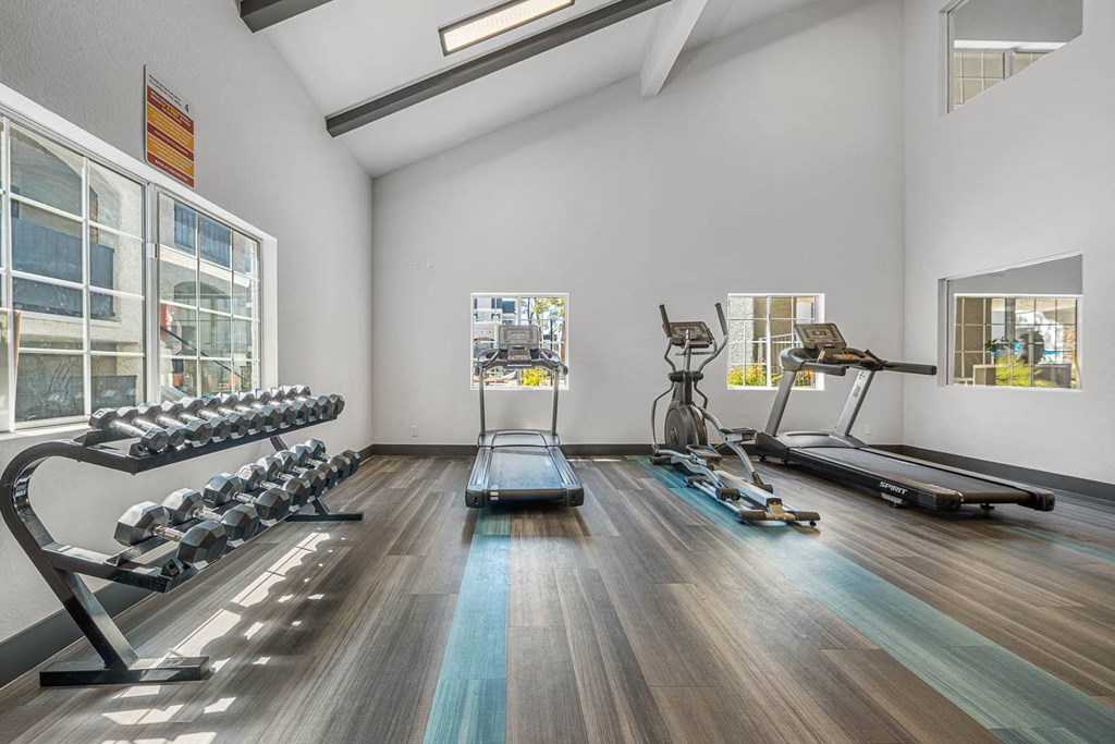 the apartments at masse corner 205 fitness room