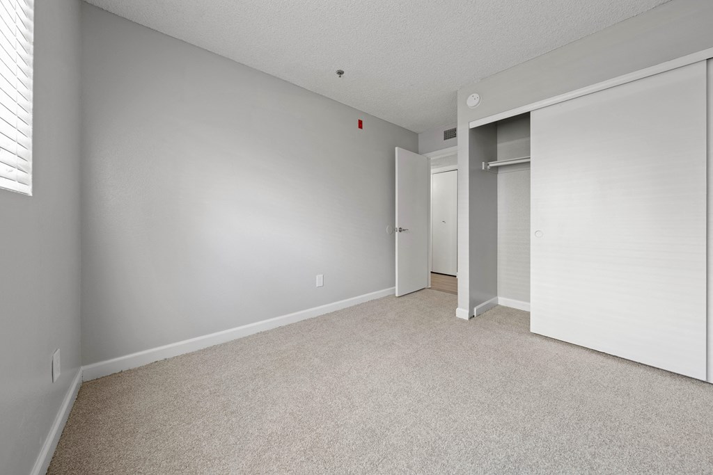 a bedroom with gray walls and a carpeted floor