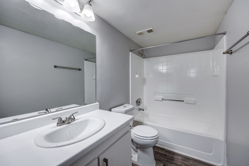a bathroom with a sink and a toilet and a tub