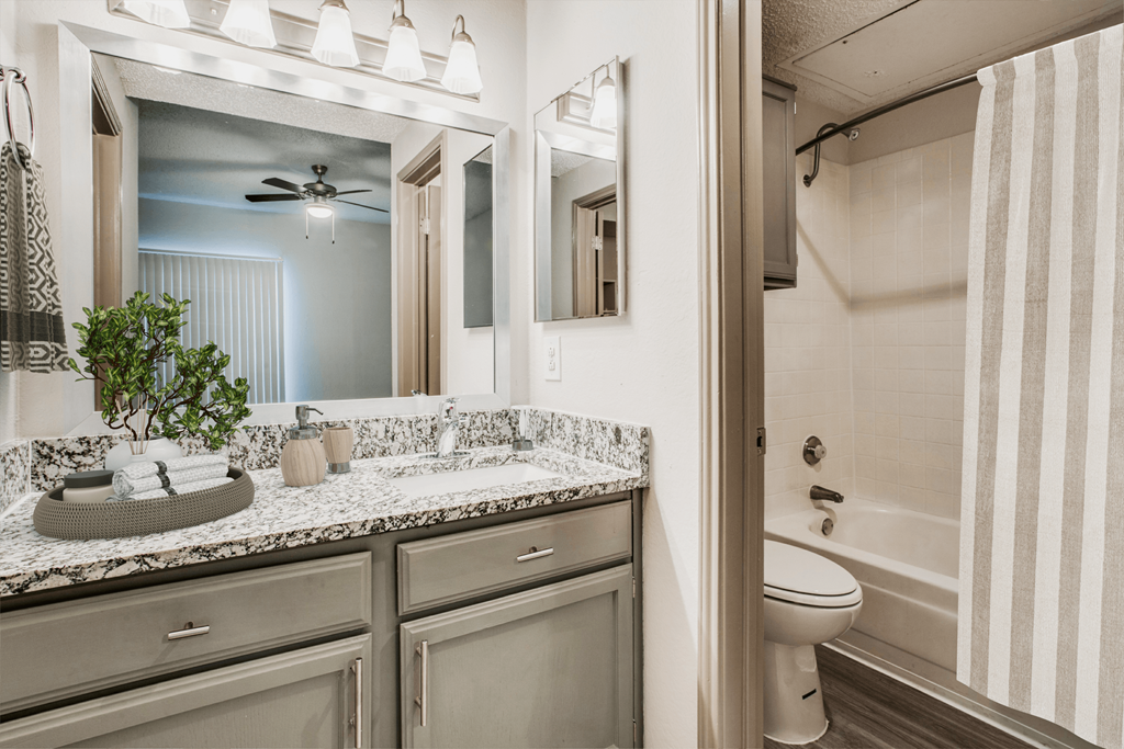a bathroom with a sink and a toilet and a mirror