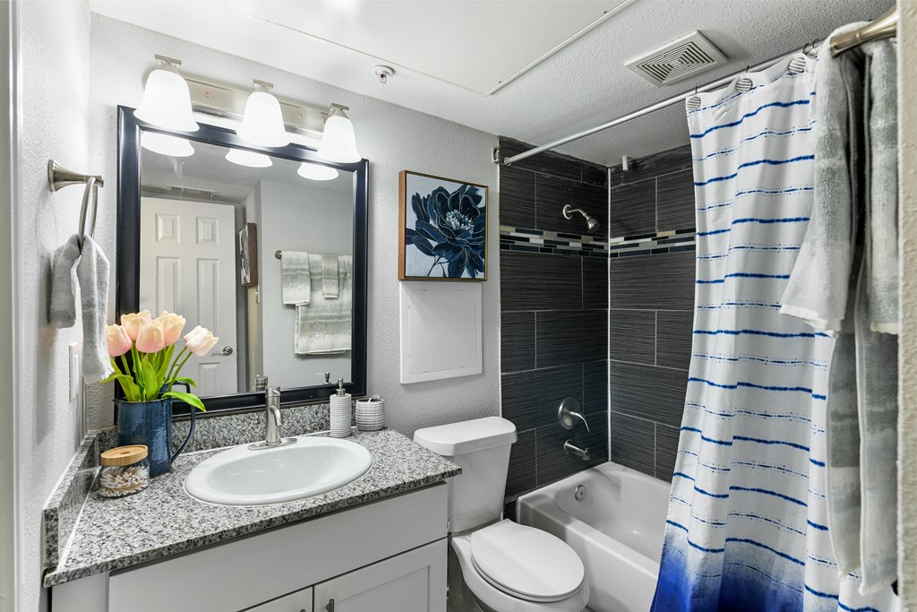 a bathroom with a shower toilet and sink and a mirror