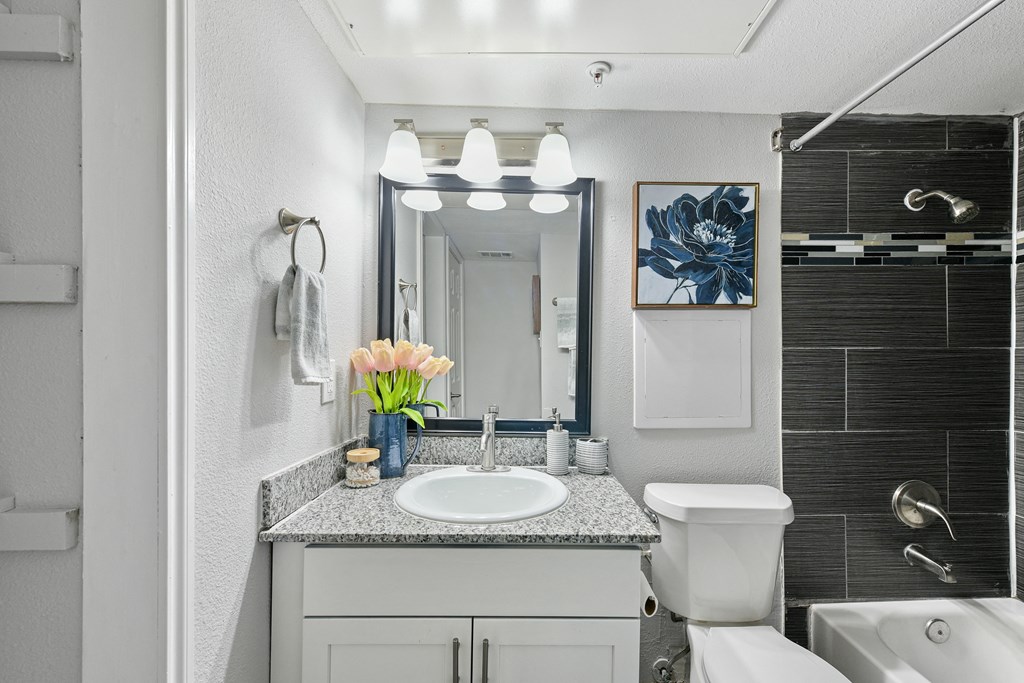 a bathroom with a sink and a mirror and a toilet