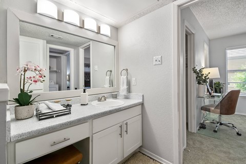 a bathroom with a sink and a mirror