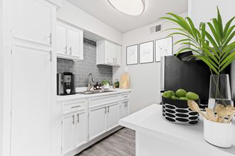 a kitchen with white cabinets and a white counter top and a plant