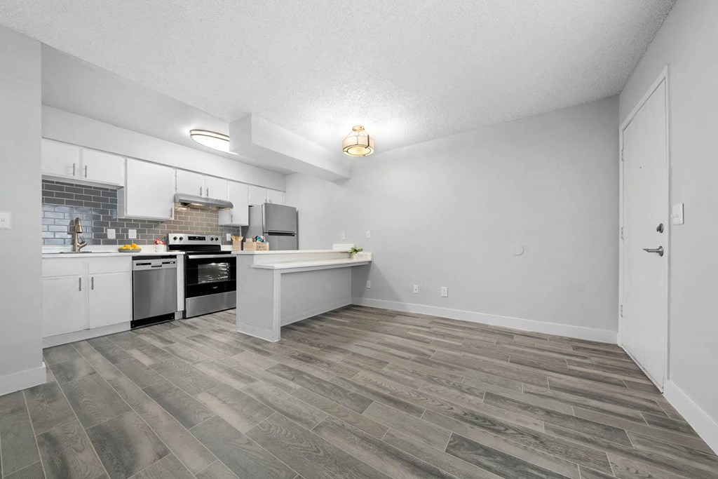 Kitchen and Living Room