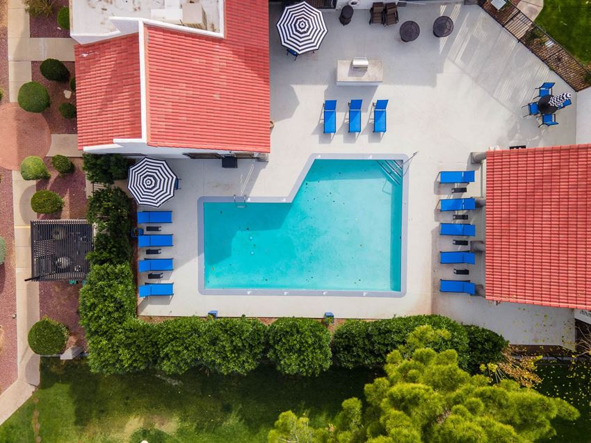 Swimming Pool - Photo Gallery