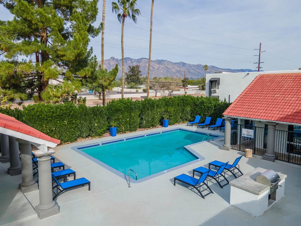 Swimming Pool and Lounge