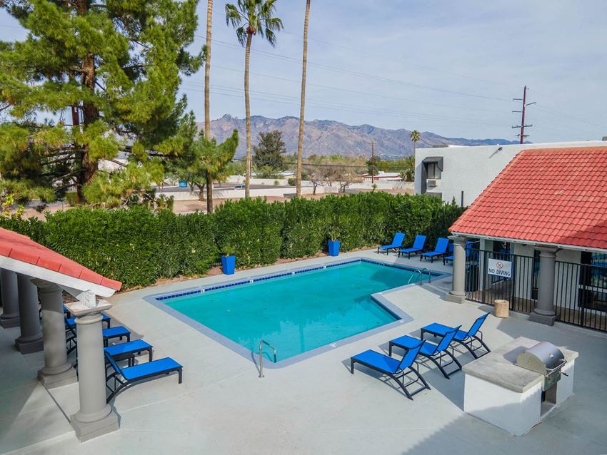 Swimming Pool and Lounge - Photo Gallery