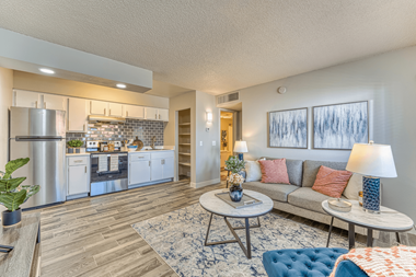 Alegria Kitchen and Living Room