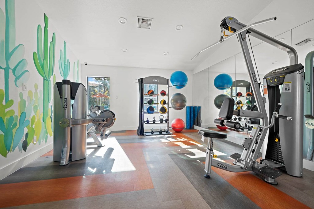 Fitness Center/Gym