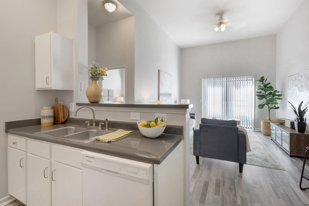 a kitchen with a sink and a bowl of fruit on the counter