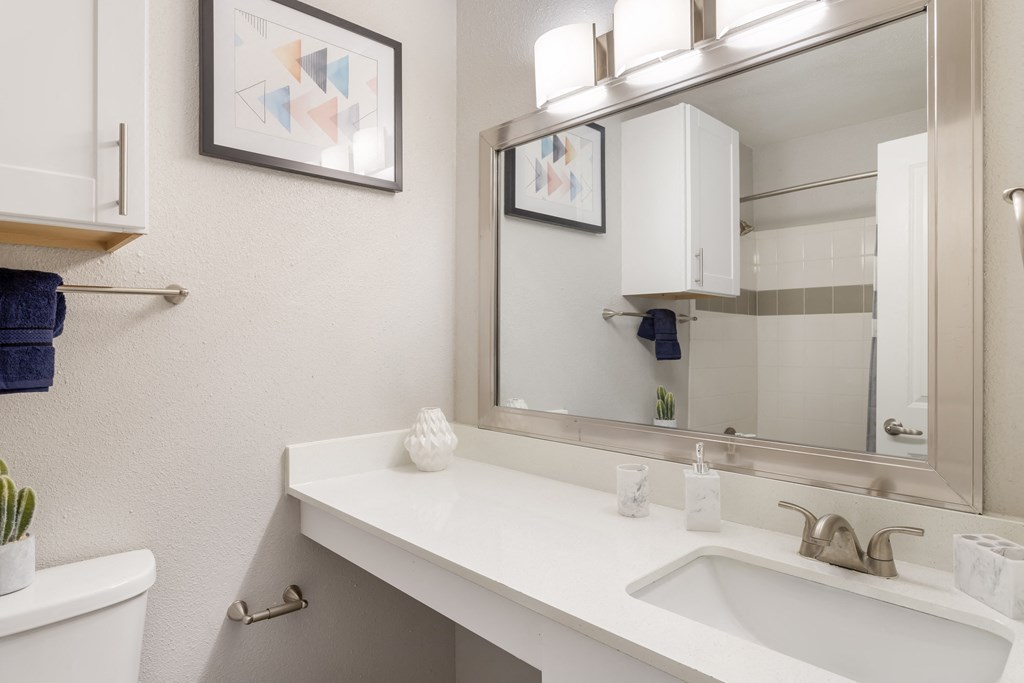 a bathroom with a sink and a mirror and a toilet