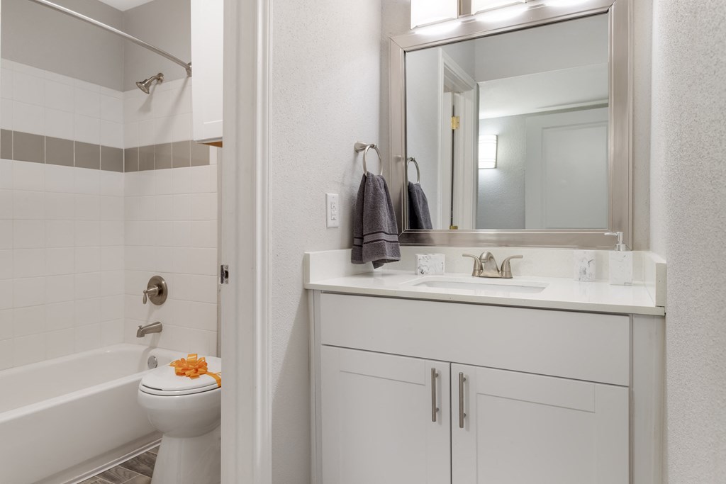 a bathroom with a sink and a toilet and a shower